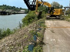 23July2024 Vegetation Removal3